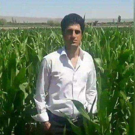 دانلود آهنگ محسن لرستانی نازدار